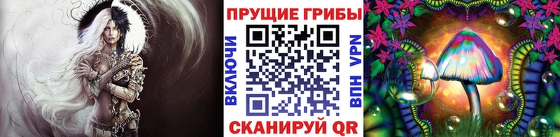 Галлюциногенные грибы мицелий  Купить  Аткарск 